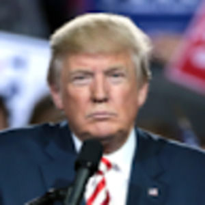 Meet your Posher, Ava